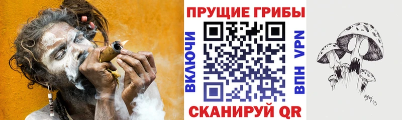 Купить закладки Свободный Галлюциногенные грибы GOLDEN TEACHER